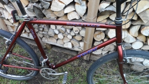 Herrenfahrrad TRECK 26" Bild 2