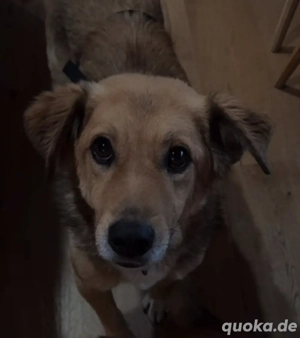 Coffee sucht ein Zuhause