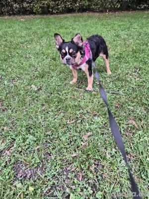 liebevolles zuhause gesucht