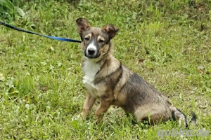  Berry, geb 02 25 -  Kleiner Wirbelwind mit großem Herz   