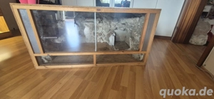 Osb Terrarium 120x80x60