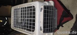 Hunde Box   Katzen Box 