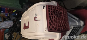 Hunde Box   Katzen Box 