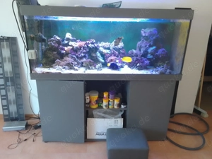 Aquarium Meerwasser 450 Liter komplett 