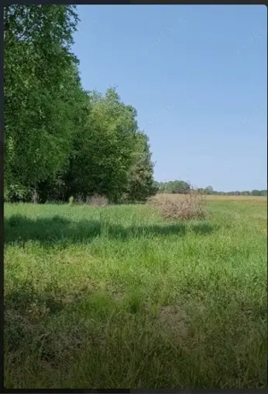 Zu verkaufen oder zu vermieten