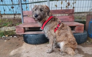 Margrit sucht ein ruhiges Plätzchen