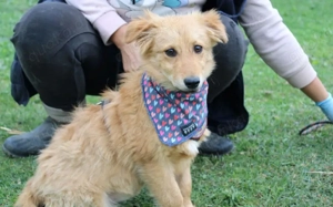 Neelo wartet schon auf dich Bild 4