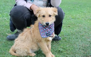 Neelo wartet schon auf dich Bild 6