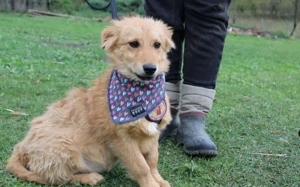 Neelo wartet schon auf dich Bild 7