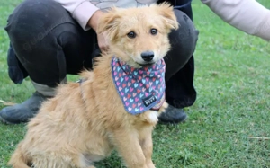 Neelo wartet schon auf dich Bild 5