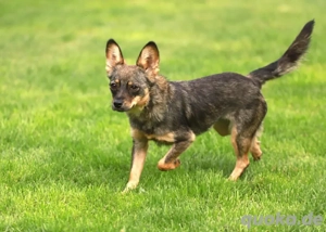 Minnie - kleine Dorfprinzessin