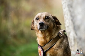 Wer zeigt Nice, wie schön das Leben ist?