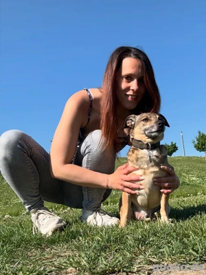 hundebetreuung hundesitting