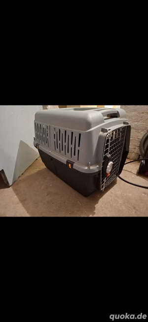 Hunde Box gut erhalten 