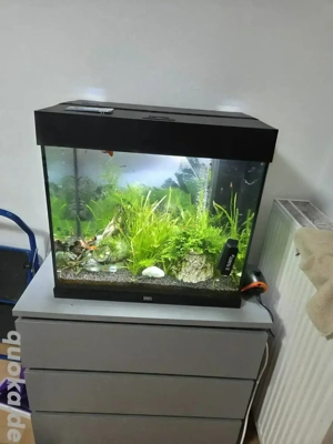 Aquarium 120 l von Juwel 2 Jahre alt