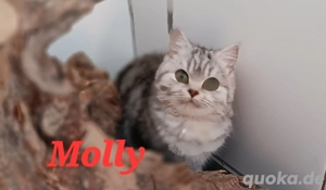 Wundervolle BKH Schwester. 