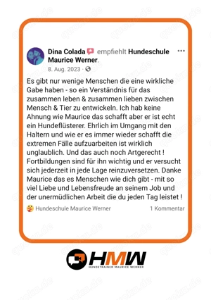 Professionelles Hundetraining   Persönlich oder auch via Videoanalyse Bild 7