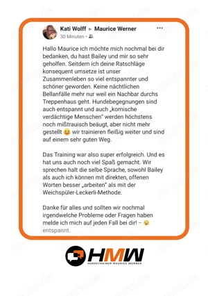 Professionelles Hundetraining   Persönlich oder auch via Videoanalyse Bild 4