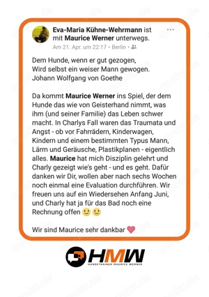 Professionelles Hundetraining   Persönlich oder auch via Videoanalyse Bild 5