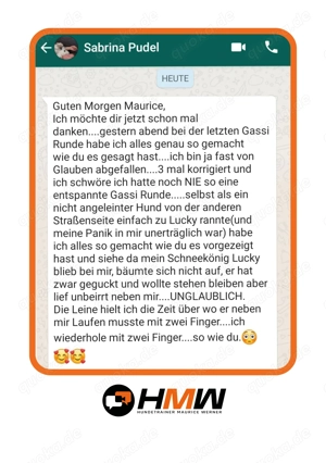 Professionelles Hundetraining   Persönlich oder auch via Videoanalyse Bild 10