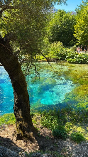 Massagen aller Art Bild 2