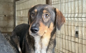 Rocket möchte mit dir in die Zukunft starten!