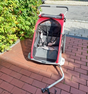 Fahrradanhänger Thule