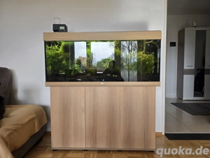    Komplettes Aquarium Juwel RIO 240L mit CO -Anlage, SmartControl LED, Außenfilter & Besatz   