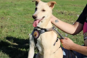 Vorsichtiger Tjark sucht sicheren Hafen