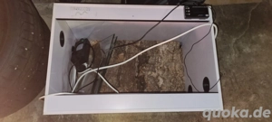 Aufzucht terrarium für geckos