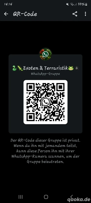 Reptilien WhatsApp gruppe
