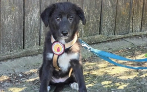 Momo's Blick ist voller Hoffnung