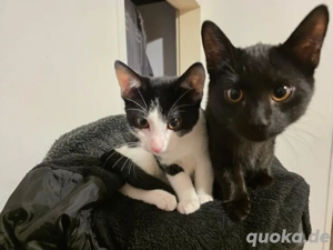 Müssen dringend weg