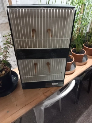 Ausstellungskäfige für Vögel Bild 3 Ausstellungskäfige für Vögel Bild 3