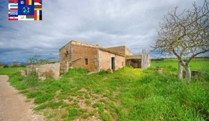 Mallorca - Manacor Finca - Historisches Bauernhaus - Pferdehaltung Bild 3