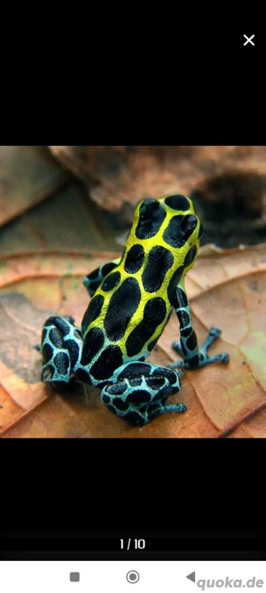 ich bin auf der Suche 