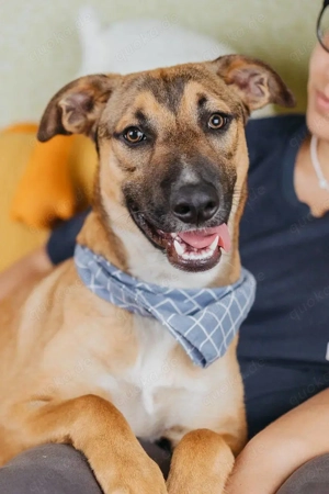 Tim sucht menschen die bleiben 