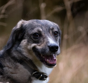 Hier kommt Benny Bild 7