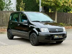 Fiat Panda 1.2 8V Dynamic/AUTOMATIK/KLIMA/ALLWETTER/