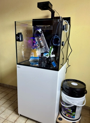 Red Sea Max E170, ReefLed 90, RF Pumpe, Tunze DC 9004 DocSkimmer und Zubehör