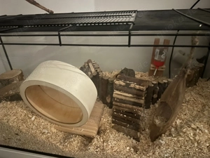Zwerg hamster mit Käfig terrarium+zubehör Bild 3