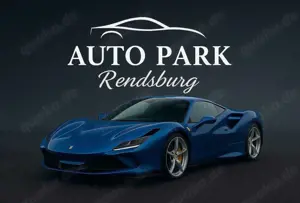 Ford Fiesta 1.0 EcoBoost Active*Navi*Shz*Tempomat*