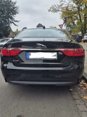 Jaguar XF E-Performance Portfolio Bild 4
