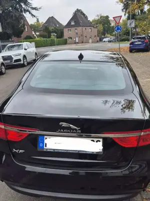 Jaguar XF E-Performance Portfolio Bild 5