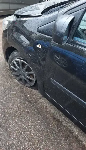 Renault Twingo Twingo 1.2 LEV 16V 75 Expression Bild 4