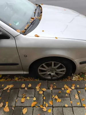 Skoda Octavia Bild 3