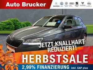Skoda Fabia Cool Plus 1.0 TSI  Klimaanlage Sitzh. PDC