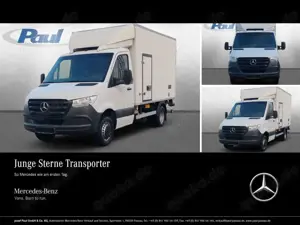 Mercedes-Benz Sprinter 516 CDI Kühlkoffer 5,5to+Frischdienst0°