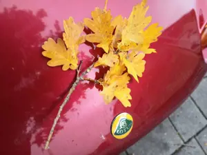 Lotus Elise Lotus Elise