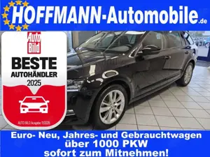 Skoda Octavia Style AppConnect,AHK,LED,SH,Kamera